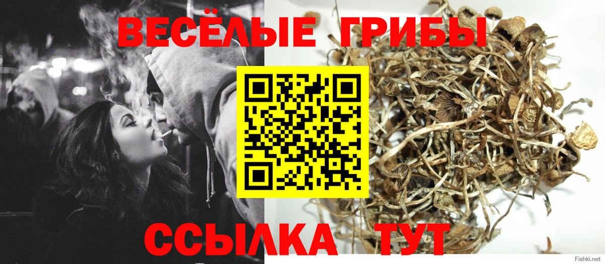Псилоцибиновые грибы мухоморы  Вход с VPN  Хабаровск  Псилоцибиновые грибы Psilocybe 
